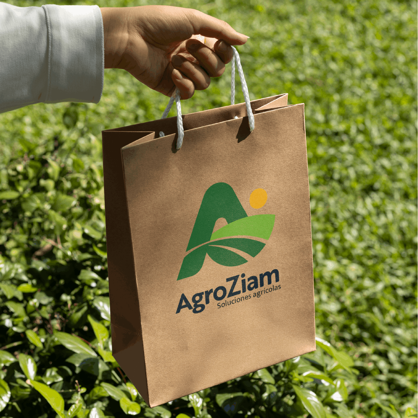 3.6.9 Diseño - logo - branding